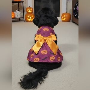 Purple Halloween Pumpkin Trick Or Treat Dog/Pet Dress Costume Size Medium- NWOT